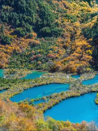 【구채구 고속철 OR 자동차 직행 베이비시터급 공략】
