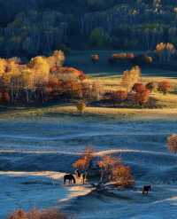 河北私藏!張北壩上3天2夜攻略,解鎖草原自由與避坑指南