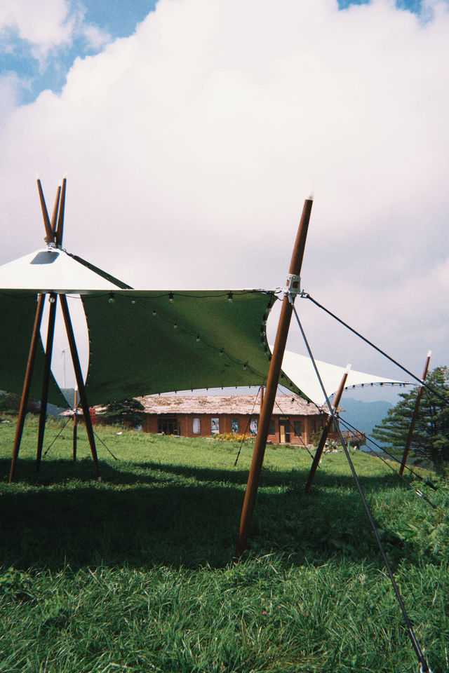 不是新疆!是湖北恩施被嚴重低估的高山草原! 不是新疆!是湖北恩施被嚴重低估的高山草原!
