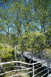 挪威沃爾令斯瀑布｜峽灣邊的壯闊水幕奇觀
 
作為挪威家喻戶曉的自然地標，沃爾令斯瀑布藏於峽灣深處，自