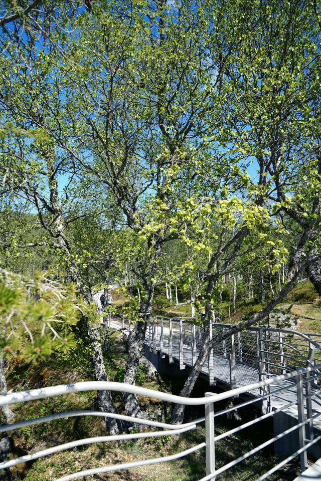 挪威沃爾令斯瀑布｜峽灣邊的壯闊水幕奇觀
 
作為挪威家喻戶曉的自然地標，沃爾令斯瀑布藏於峽灣深處，自