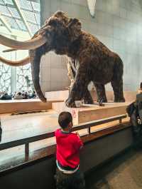 我認證過的全國最好的自然博物館