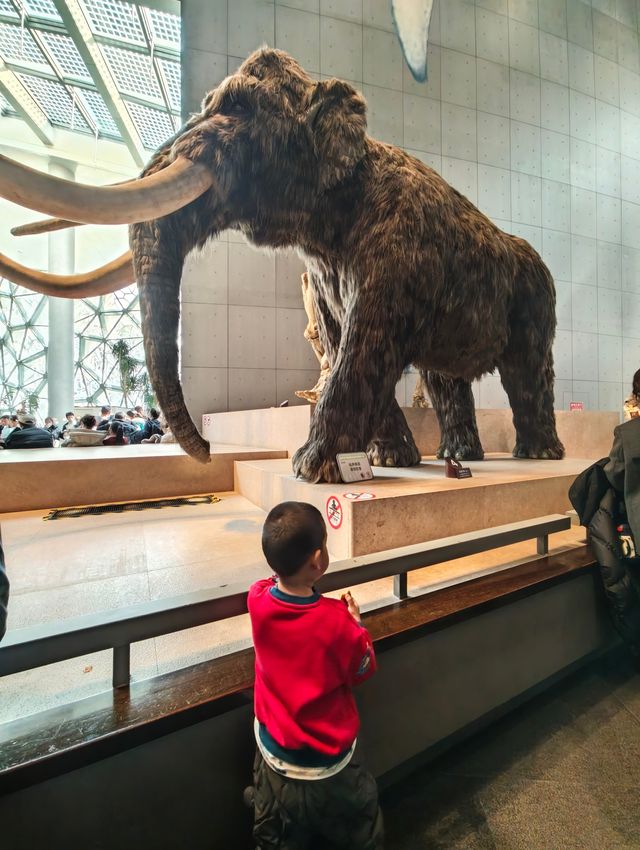 我認證過的全國最好的自然博物館