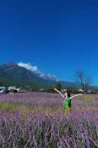 麗江秋冬必衝!阿美澤把浪漫焊在雪山