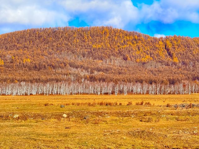 深秋阿爾山騎馬逐浪邂逅大興安嶺最美秋天