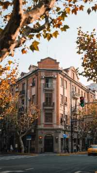 11月的上海三天兩晚，玩出魔都秋月浪漫！玩出國際范兒！