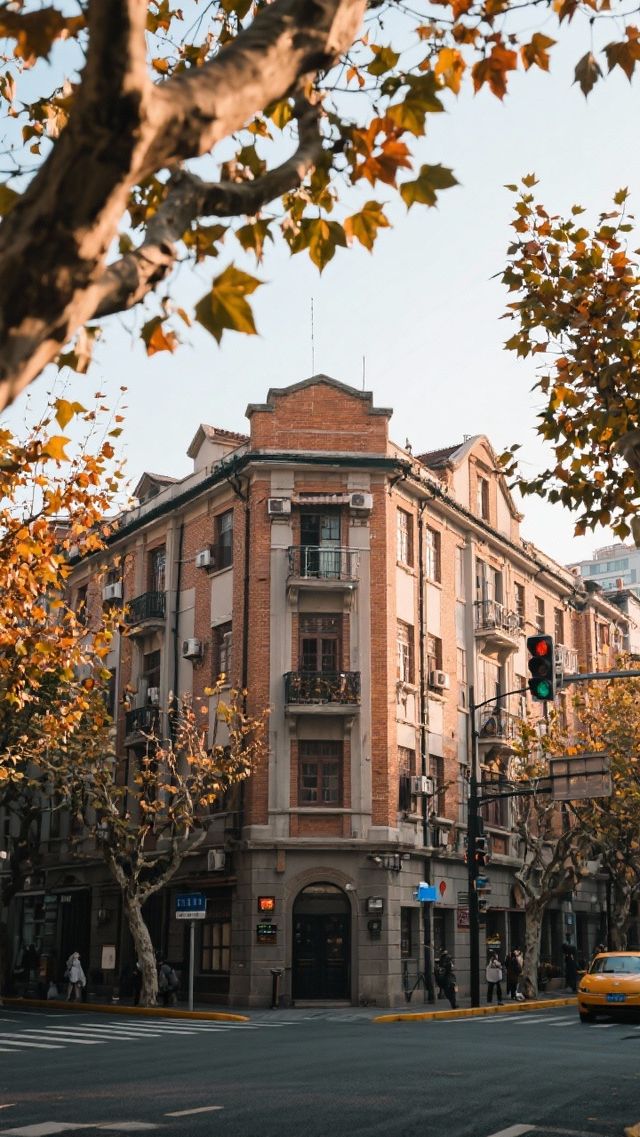 11月的上海三天兩晚，玩出魔都秋月浪漫！玩出國際范兒！