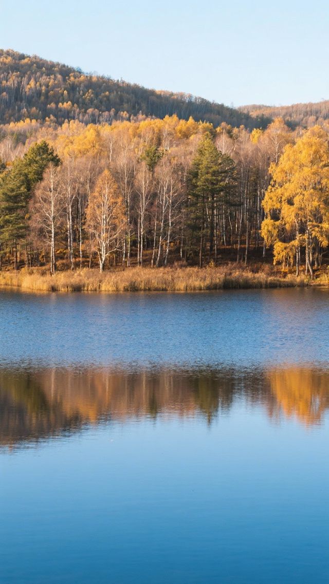 11月的塞罕壩四天三晚,玩轉北國初冬! 11月的塞罕壩四天三晚,玩轉北國初冬!