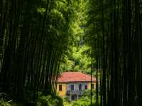 初冬江浙滬徒步指南｜3條精選路線+裝備清單+避坑乾貨