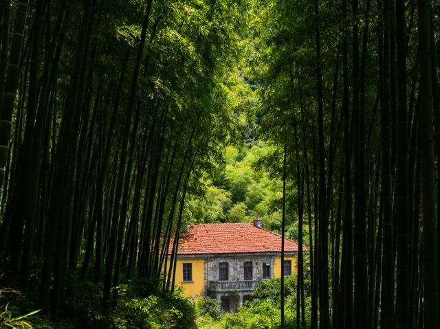 初冬江浙滬徒步指南｜3條精選路線+裝備清單+避坑乾貨