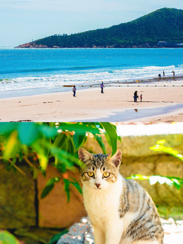 青島私藏「聖托里尼」平替！山海之間藏著避世村落