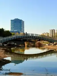 秋意正濃｜石家莊中心湖公園