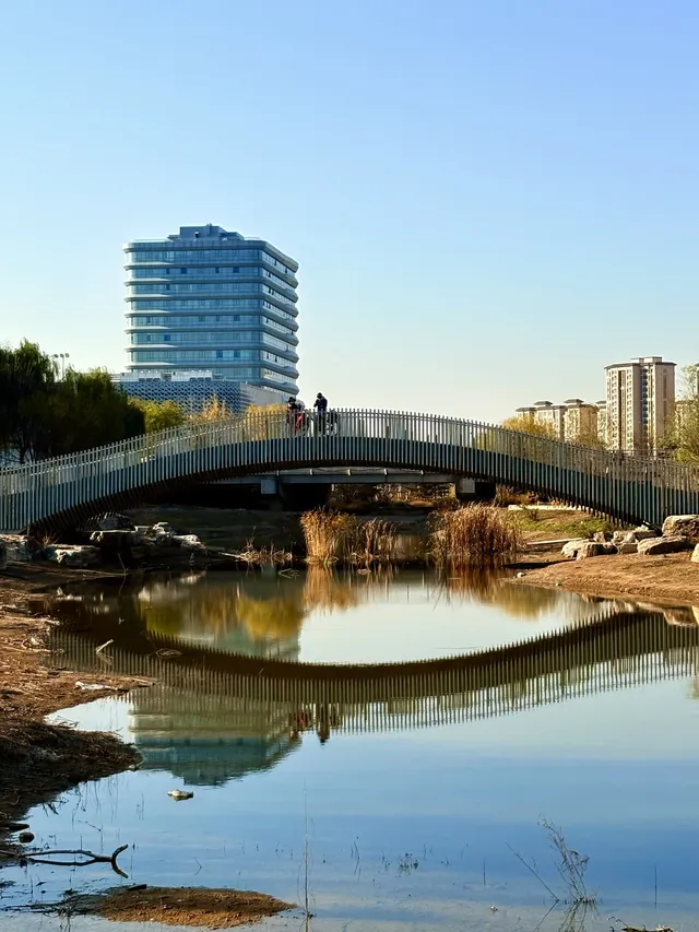 秋意正濃｜石家莊中心湖公園
