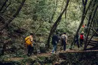 旗山森林公園徒步偶遇猴哥!20km古道+網紅