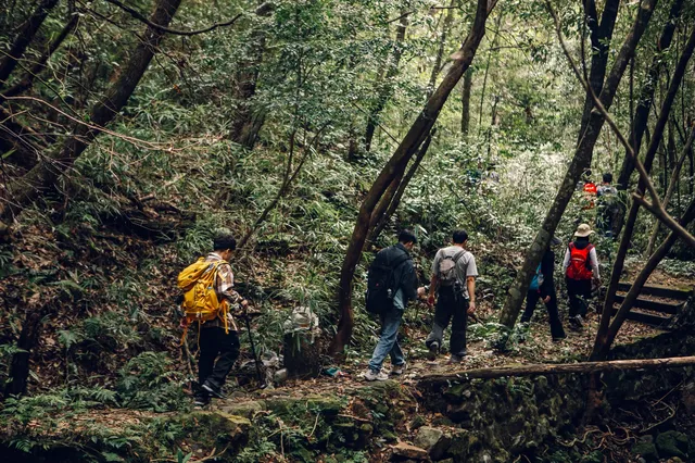 旗山森林公園徒步偶遇猴哥!20km古道+網紅 旗山森林公園徒步偶遇猴哥!20km古道+網紅