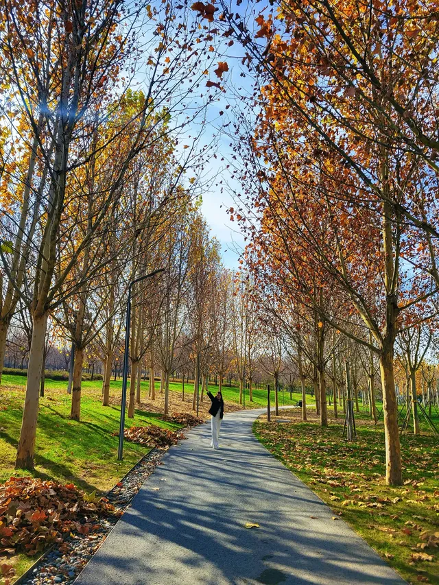 官宣石家莊的封神秋色在這裡