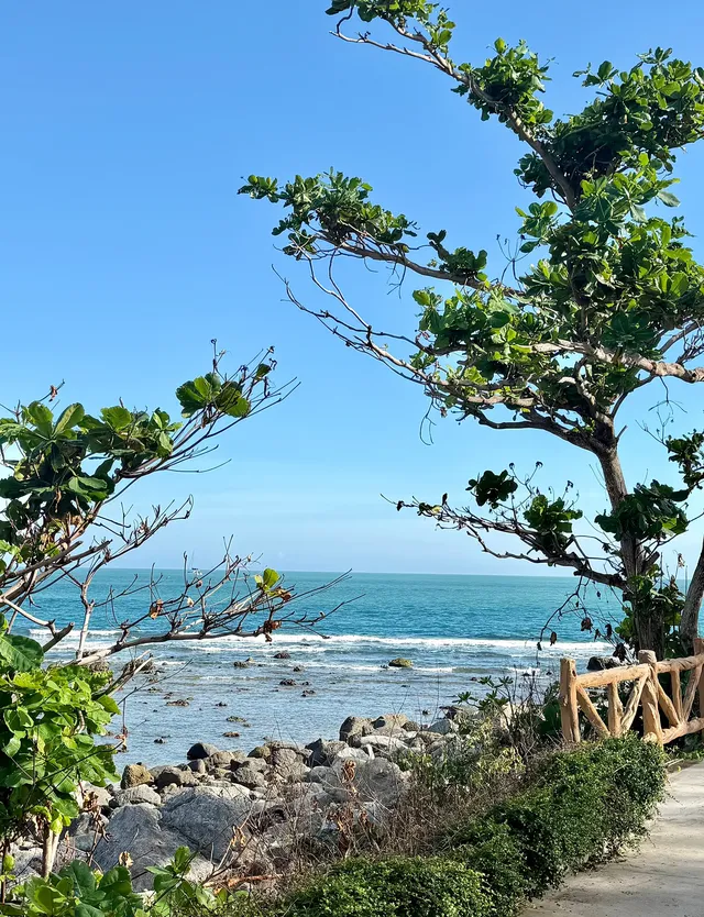 奔赴三亞只為18張圖｜這波海島值哭了