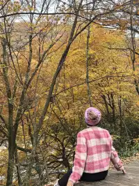 2025年11月2日到11月6日的光霧山與西安之旅