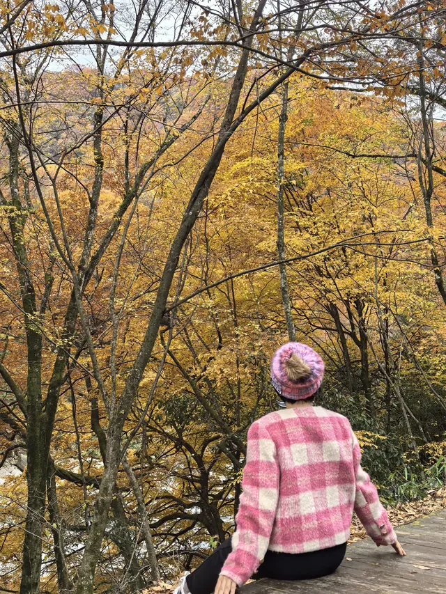 2025年11月2日到11月6日的光霧山與西安之旅