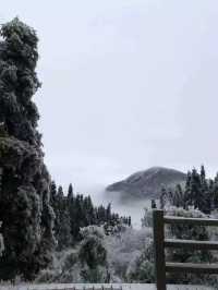 江西宜春明月山｜現實版人間仙境絕美雲海攻略