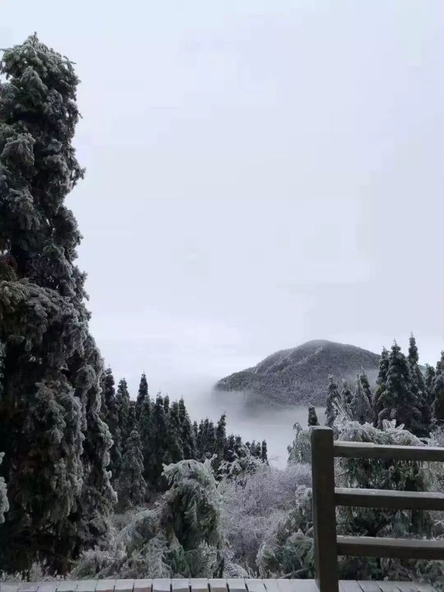 江西宜春明月山｜現實版人間仙境絕美雲海攻略
