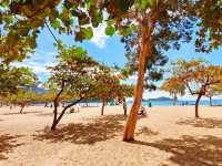 香港海邊度假淺水灣攻略:水清沙細