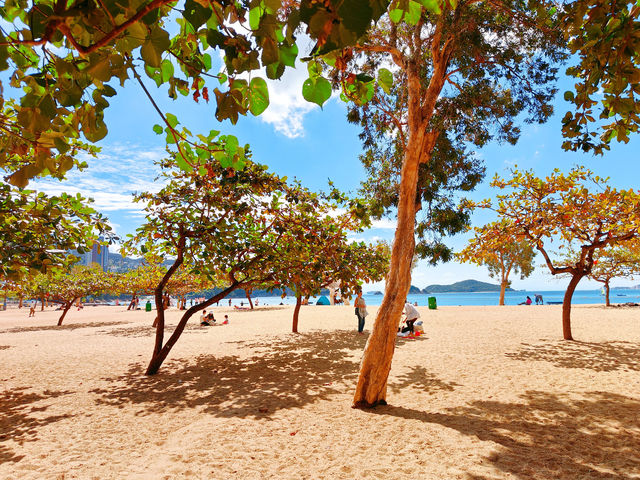 香港海邊度假淺水灣攻略:水清沙細 香港海邊度假淺水灣攻略:水清沙細