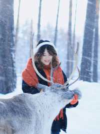 !漠河3天2晚小團把浪漫焊死在冬天裡
