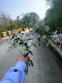 看見一片湖，誤闖入人間仙境！