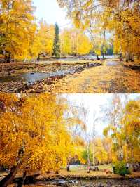 可可托海避坑指南從交通到吃住全攻略