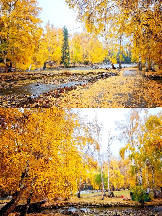 可可托海避坑指南從交通到吃住全攻略