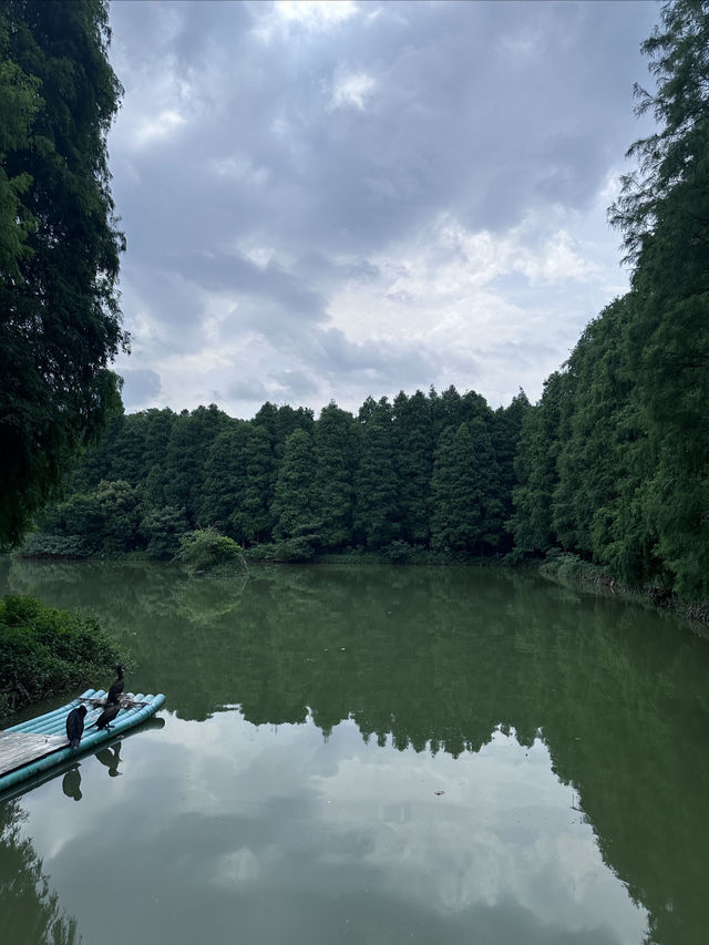 肇慶七星岩|嶺南第一奇觀 肇慶七星岩|嶺南第一奇觀