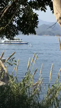 這裡不是瑞士！這裡是千島湖植物園