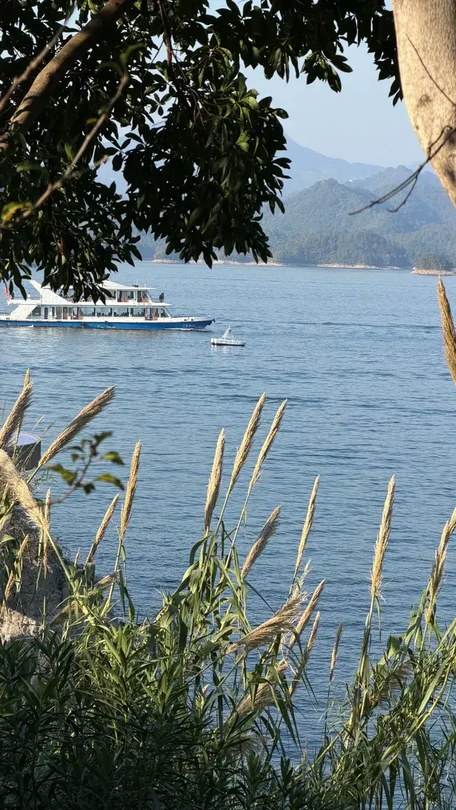 這裡不是瑞士！這裡是千島湖植物園