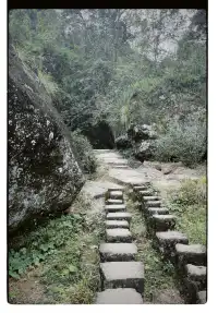 清冷武夷山，最宜岩骨花香漫步