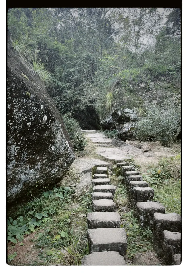 清冷武夷山，最宜岩骨花香漫步