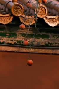 必拍故宮絕美構圖