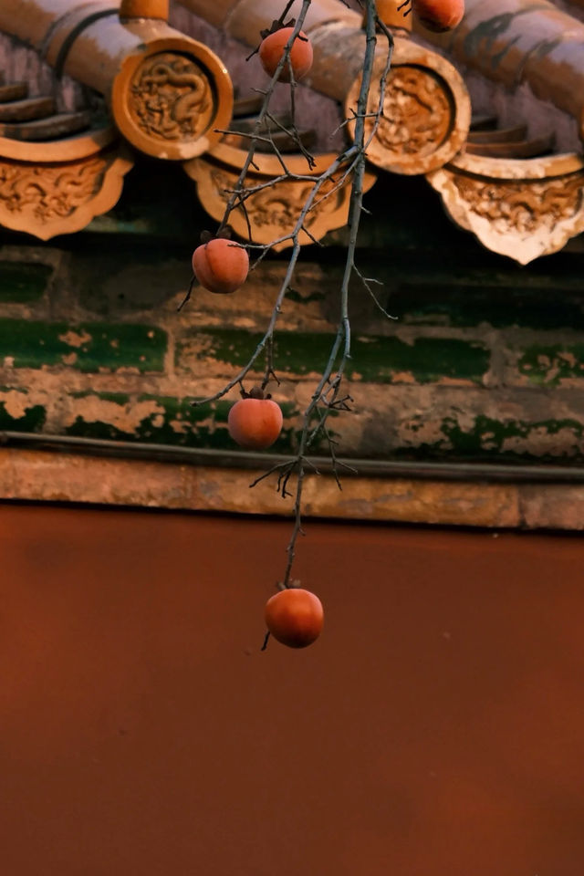 必拍故宮絕美構圖