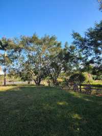 普洱避世秘境闖入宮崎駿的綠野仙蹤