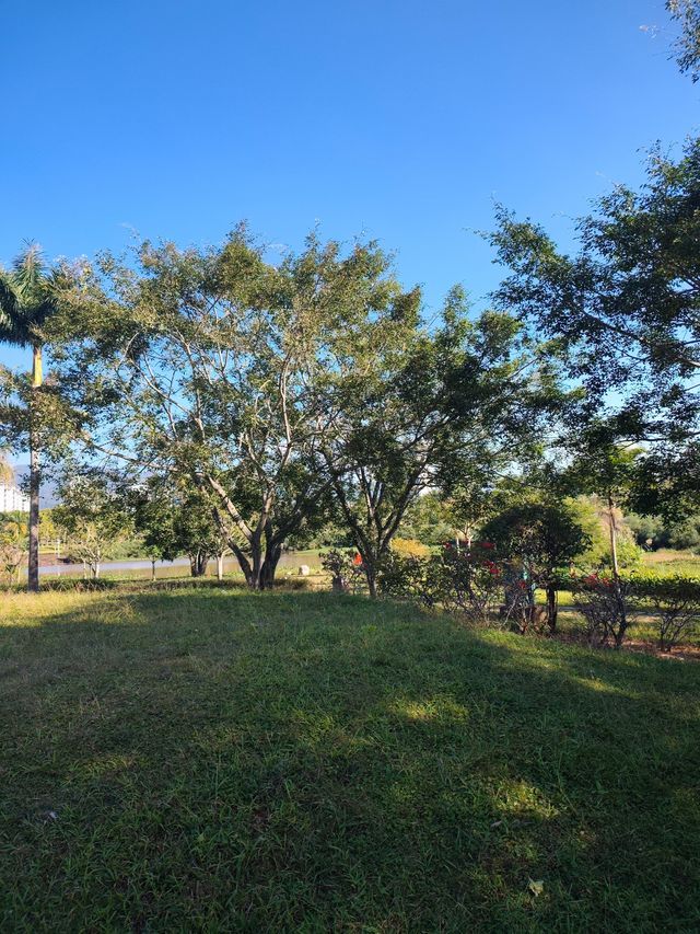 普洱避世秘境闖入宮崎駿的綠野仙蹤