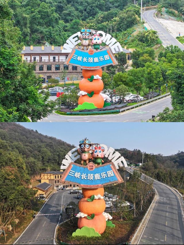 長頸鹿相伴！親子遊絕佳地！