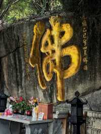 廈門必打卡！南普陀寺超全遊玩攻略