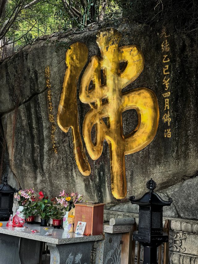 廈門必打卡！南普陀寺超全遊玩攻略