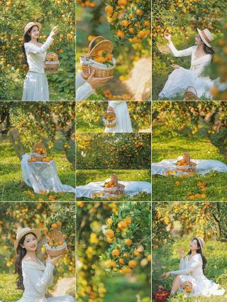 A must-visit orange orchard for weekend outings with kids