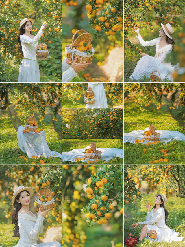 週末遛娃必去橘子園