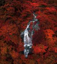 巴中秘境大揭秘竟藏著中國最美的山水畫卷