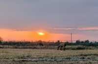 銀沙灣隱秘寺廟探秘