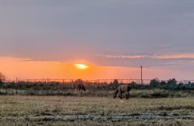 銀沙灣隱秘寺廟探秘 銀沙灣隱秘寺廟探秘