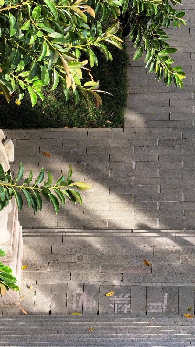 西湖邊隱秘觀景台，一些西湖的其他角度