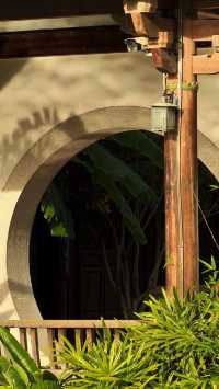 西湖邊隱秘觀景台，一些西湖的其他角度